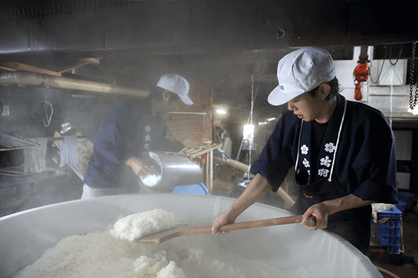 steaming rice Saito Shuzo Kyoto
